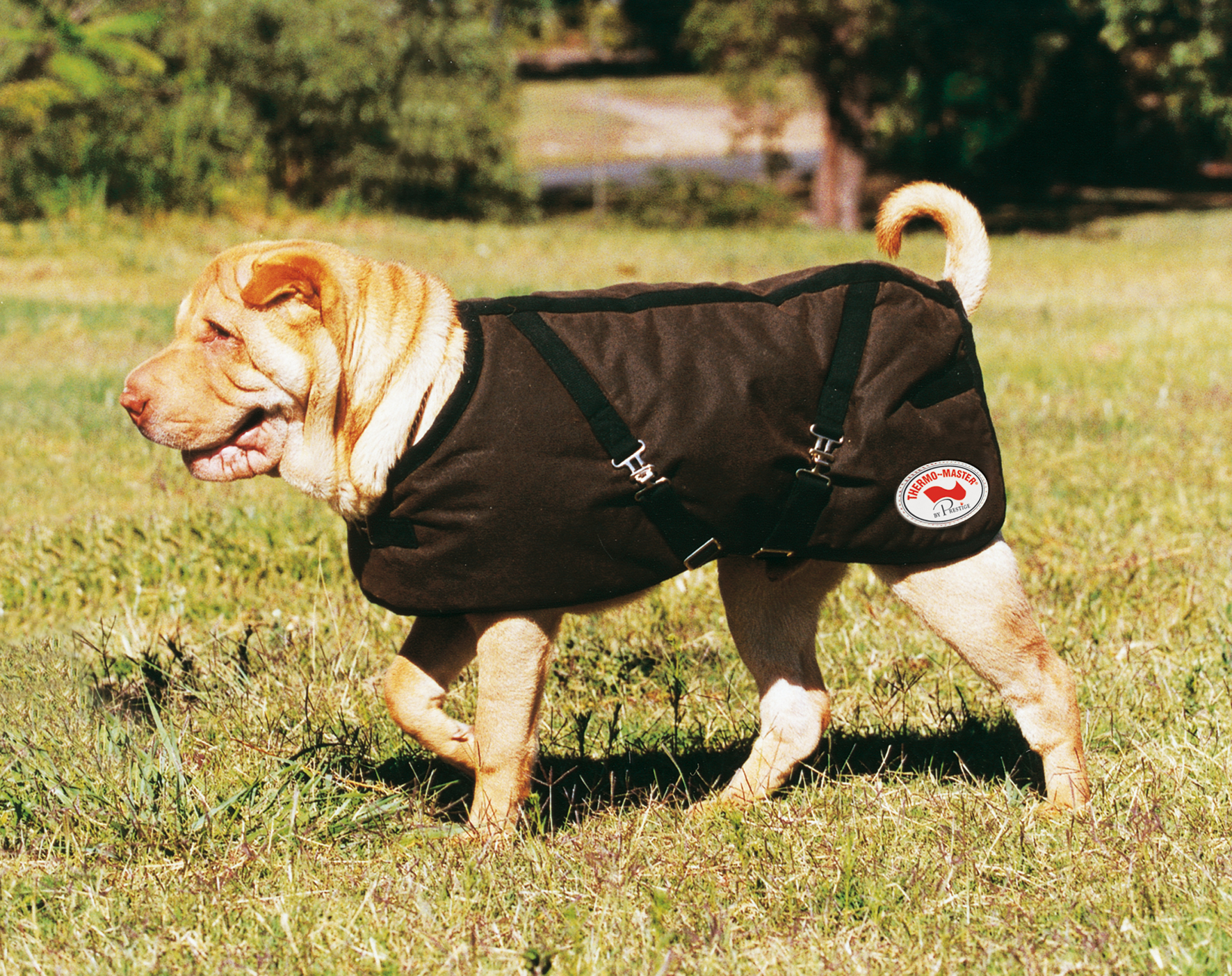 Oilskin on sale dog jacket